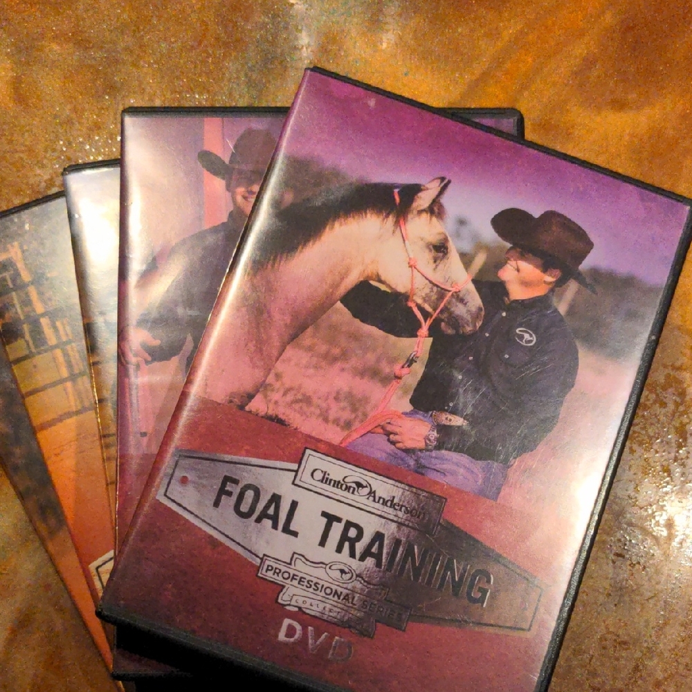 Clinton Anderson Foal Training DVD Set